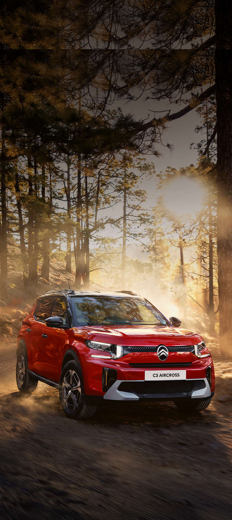 <span class="h1" style="color: #fff">Citroën  C3&nbsp;Aircross</span>